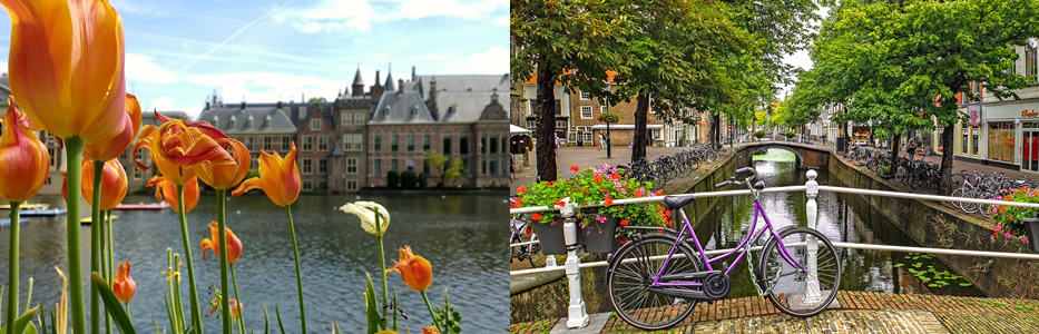 マイバスのアムステルダム観光,マイバスのオランダ観光,My Busオランダ